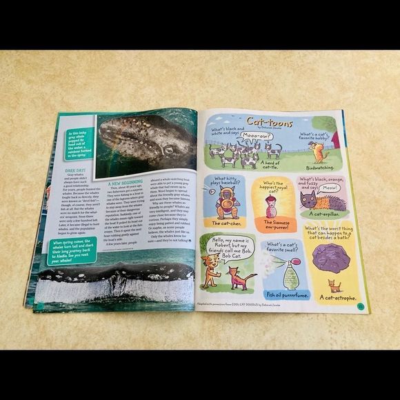 Ranger Rick Magazines Bundle - Picture 11 of 16